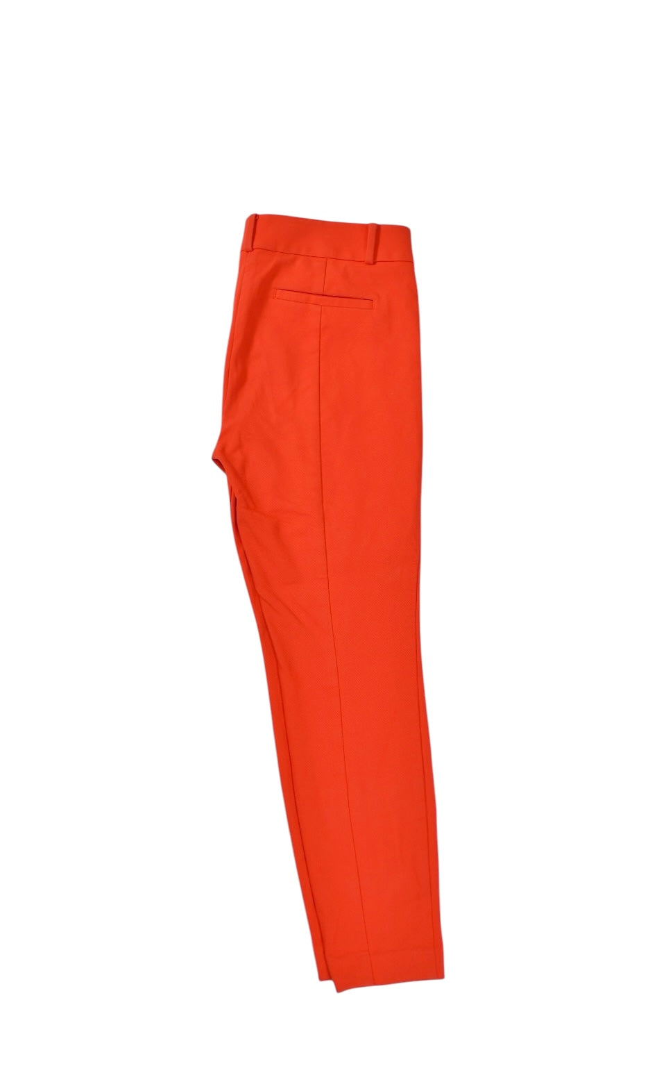 Women’s LOFT Pants