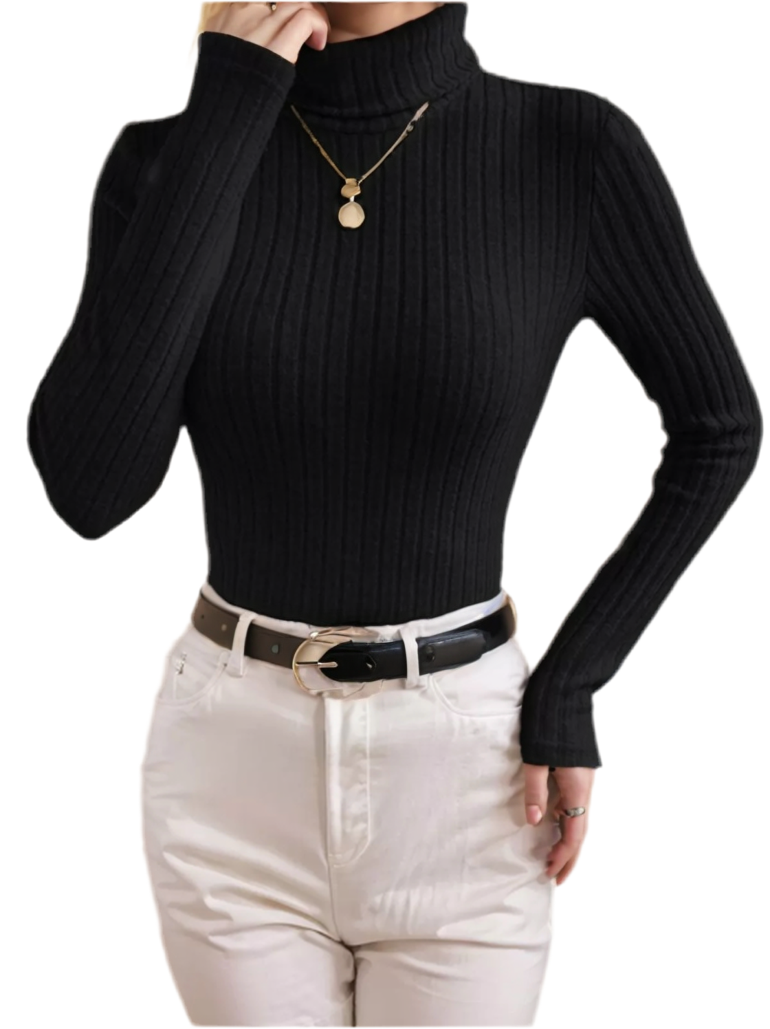 Stripes High Turtle Neck Knit Sweater