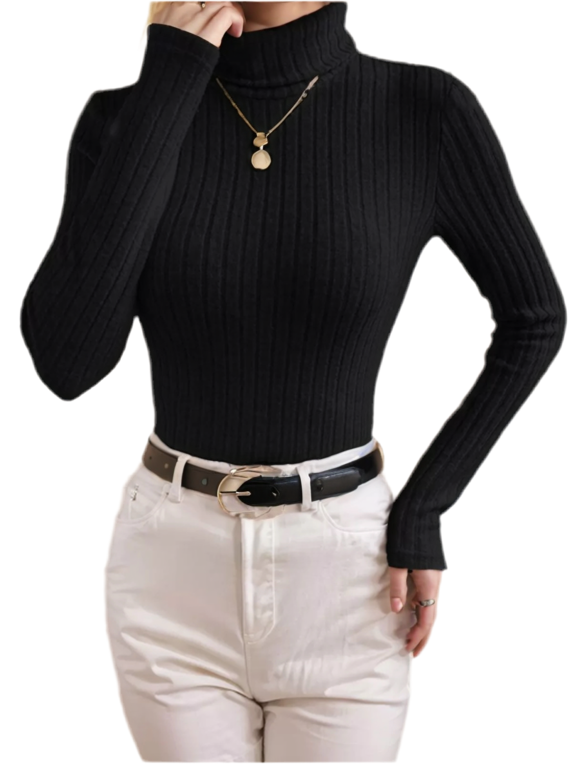 Stripes High Turtle Neck  Knit Sweater