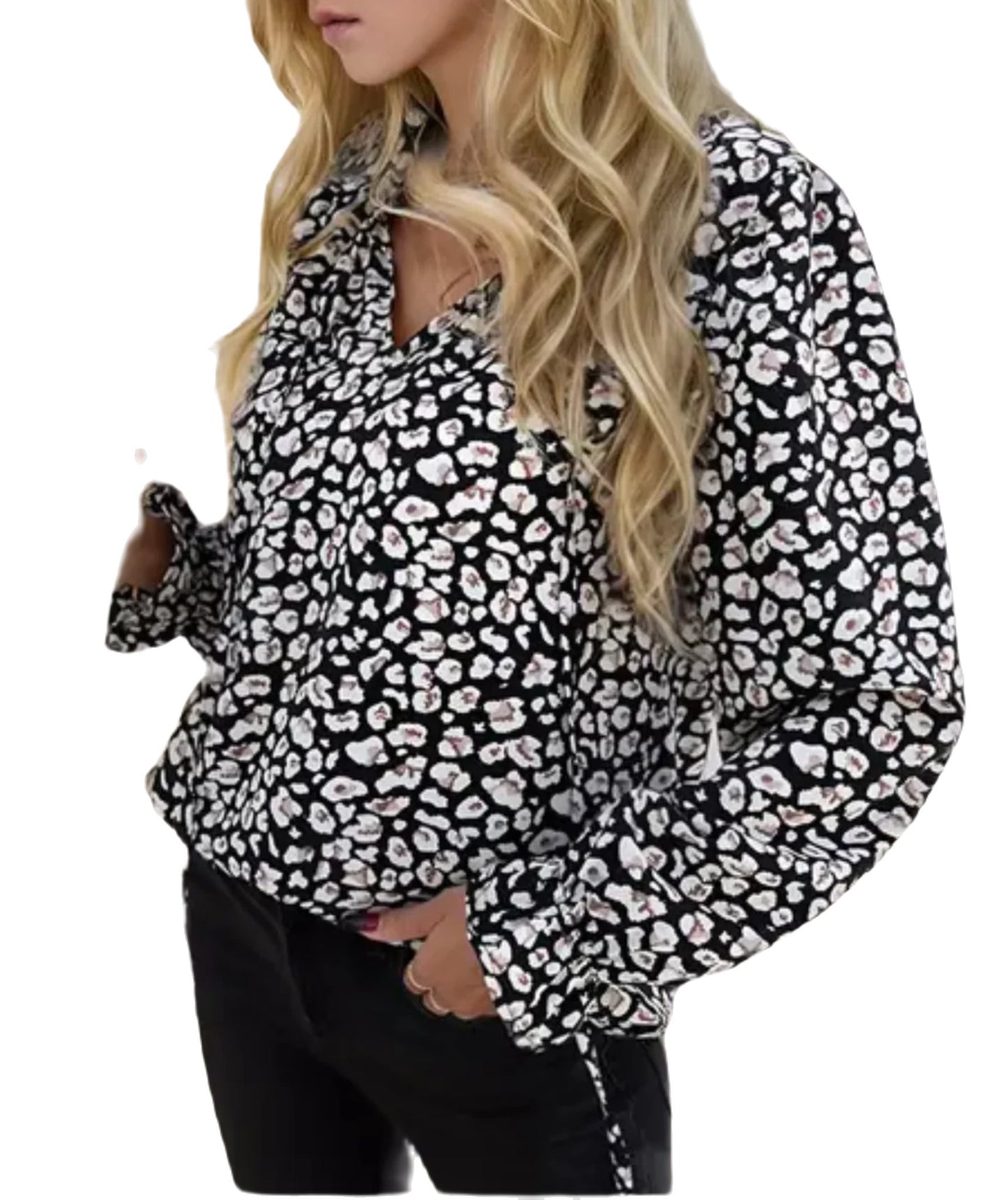 V-neck Lantern Long Sleeve Blouse